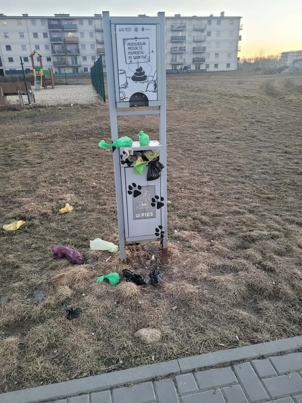 Przepełniony kosz na psie odchody przy Armii Krajowej. Mieszkańcy alarmują o problemie "To nie wygląda dobrze"