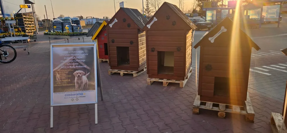 222 nowe budy dla psów w schronisku w Białej Podlaskiej. Pomoc w ramach akcji CastoBuda